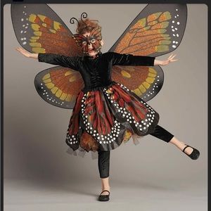 Monarch Butterfly Chasing Fireflies Size 6